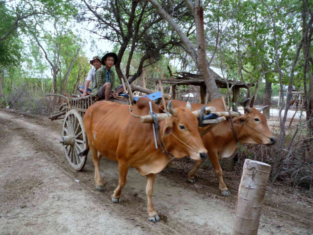 Das traditionelle, stille Dorfleben Birmas gibt es noch